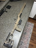 IMG_8306.jpeg