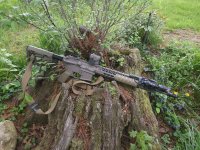 GP Carbine.jpg