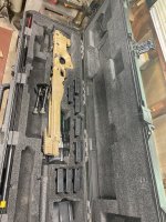 IMG_8231.jpeg