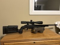 IMG_1802.jpg