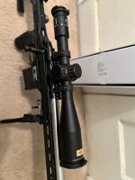 IMG_1675.jpeg