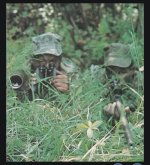 IMG_1832.jpeg