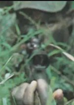 IMG_1833.jpeg