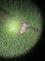 IMG_7787.jpeg