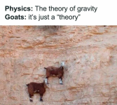 1751022752361.png