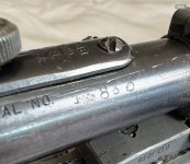 IMG_1093.jpeg