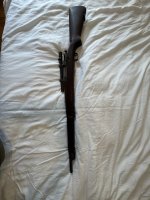 IMG_2415.jpeg