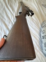 IMG_2382.jpeg
