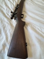 IMG_2383.jpeg
