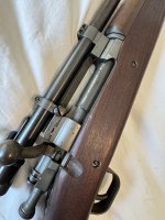 IMG_2384.jpeg