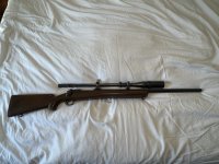 IMG_2386.jpeg