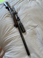 IMG_2387.jpeg