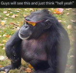 1751073222965.png
