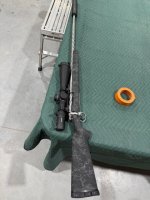 IMG_3737.jpeg