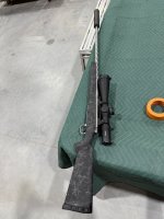IMG_3738.jpeg