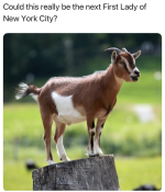 1751081585126.png