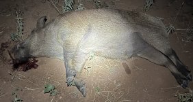 IMG_2943.jpeg
