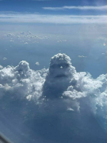 1751091789050.png