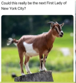 1751123060865.png