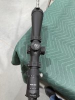 IMG_3743.jpeg