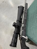 IMG_3742.jpeg