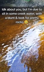 IMG_2219.jpeg