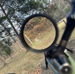 IMG_1239.jpeg