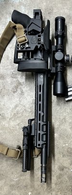 IMG_2718.jpeg