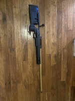 IMG_3379.jpeg