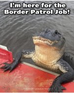 IMG_0460.jpeg