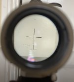 IMG_2079.jpeg