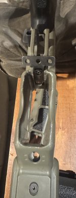 IMG_6616.jpeg