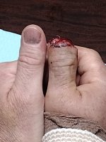 IMG_20250613_154849017.jpg