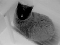 IMG_1157.jpg