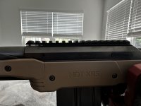 IMG_3903.jpeg