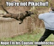 IMG_6744.jpeg