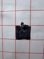 IMG_0925.jpeg