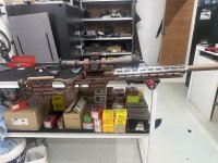 IMG_3309.jpeg
