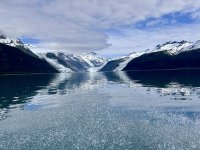IMG_6305.JPG
