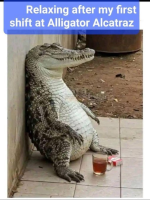 1751596241643.png