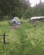 daily_gifdump_5037_24.gif