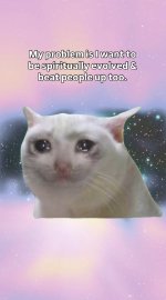IMG_2247.jpeg