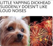 1751645532900.png