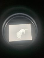 IMG_8419.jpeg