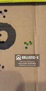 Ballistic-X-Export-2025-07-04 21:23:19.458168.jpg