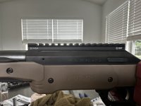 IMG_3921.jpeg