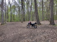 IMG_20240421_104733550_HDR.jpg