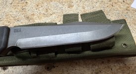 IMG_4773.jpeg