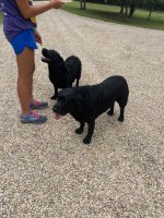 IMG_0555.jpeg