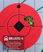 Ballistic-X-Export-2023-02-20 16:46:14.712268.jpeg